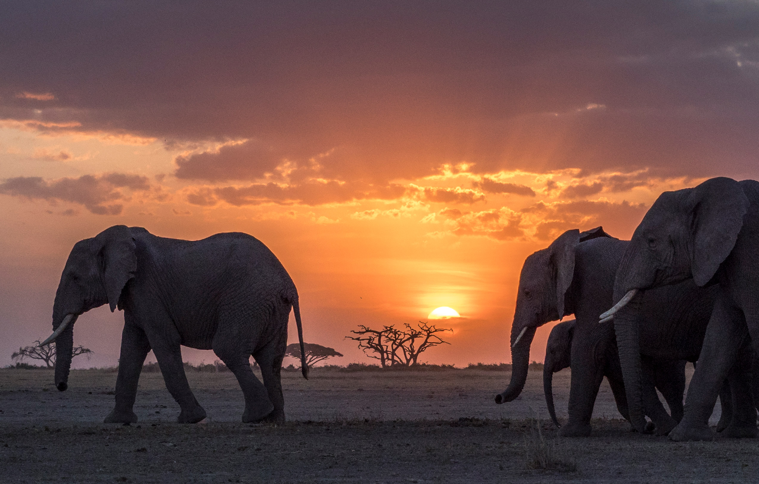 Switching databases: Migrating from MariaDB or MySQL to Postgres