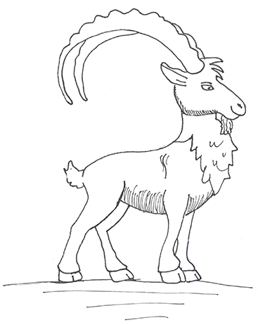 Tier-Patenschaft für einen Steinbock & Interview mit Pulley