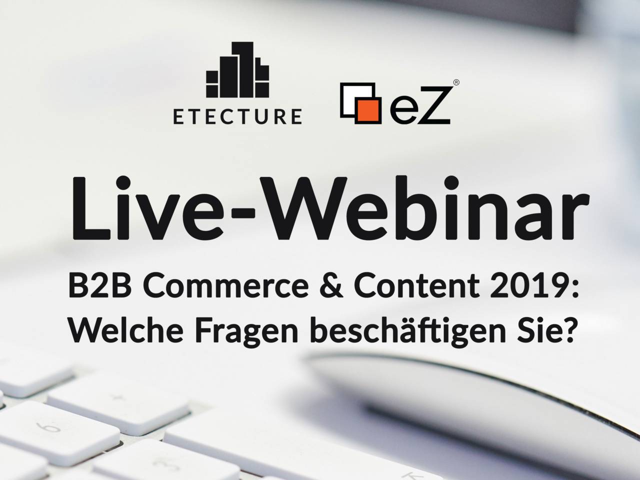 Live-Webinar: B2B Commerce & Content 2019